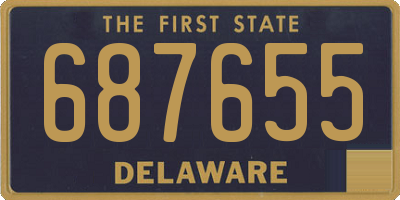 DE license plate 687655