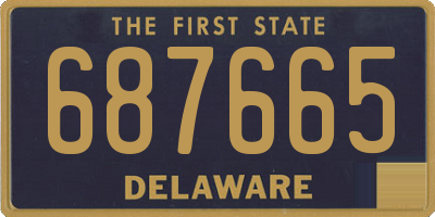 DE license plate 687665