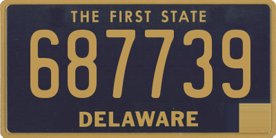 DE license plate 687739