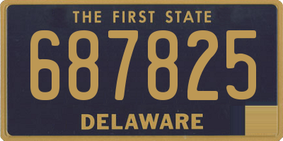 DE license plate 687825
