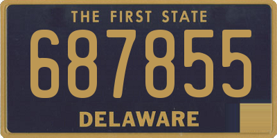 DE license plate 687855
