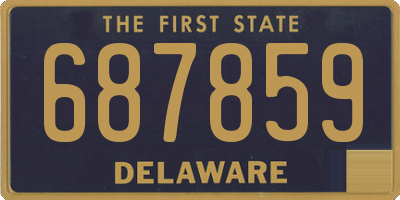 DE license plate 687859