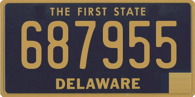 DE license plate 687955