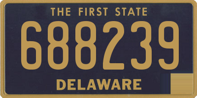 DE license plate 688239