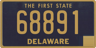 DE license plate 68891