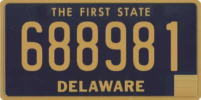 DE license plate 688981