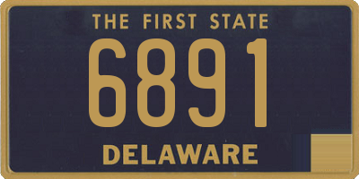 DE license plate 6891