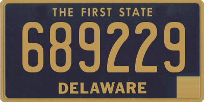 DE license plate 689229