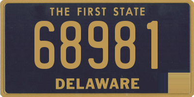 DE license plate 68981