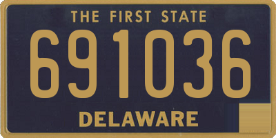DE license plate 691036