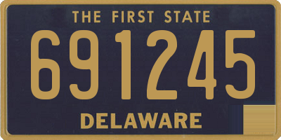 DE license plate 691245
