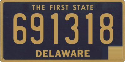 DE license plate 691318