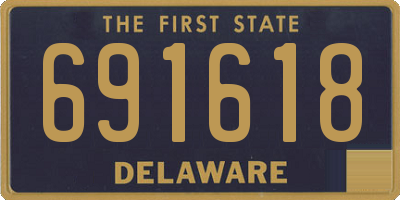 DE license plate 691618