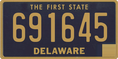 DE license plate 691645
