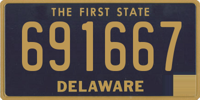 DE license plate 691667