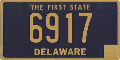 DE license plate 6917