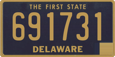 DE license plate 691731