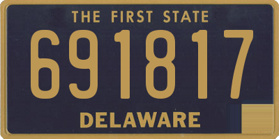 DE license plate 691817