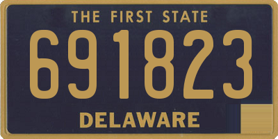 DE license plate 691823