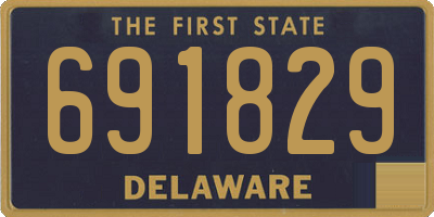 DE license plate 691829