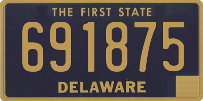 DE license plate 691875