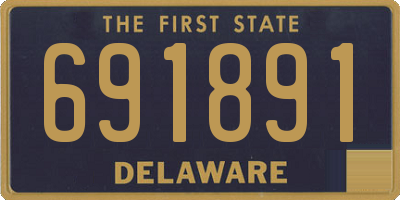 DE license plate 691891