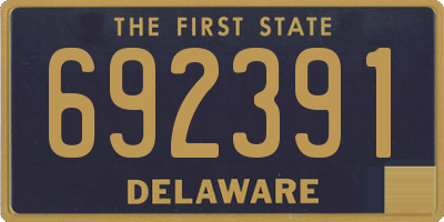 DE license plate 692391