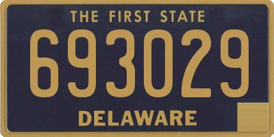 DE license plate 693029
