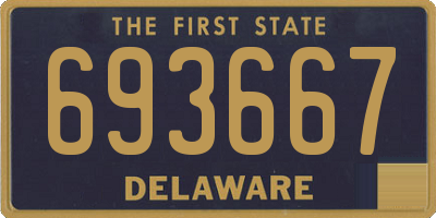 DE license plate 693667