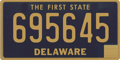 DE license plate 695645