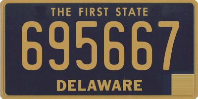 DE license plate 695667
