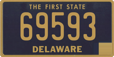 DE license plate 69593