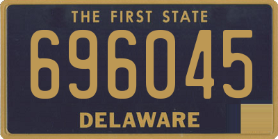DE license plate 696045