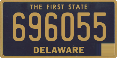 DE license plate 696055