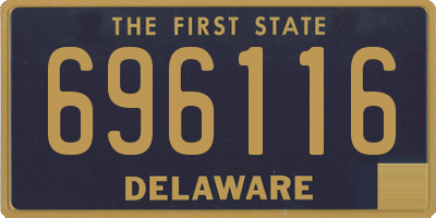 DE license plate 696116