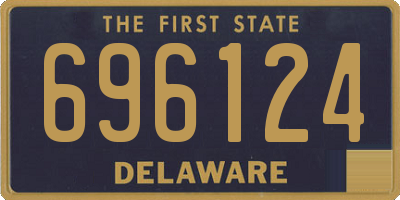 DE license plate 696124