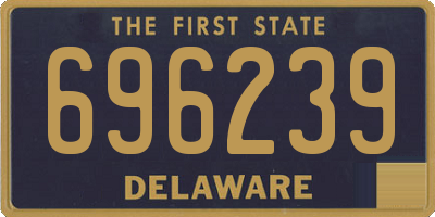 DE license plate 696239
