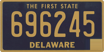 DE license plate 696245