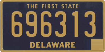 DE license plate 696313