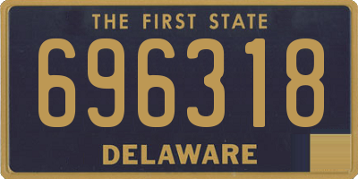 DE license plate 696318