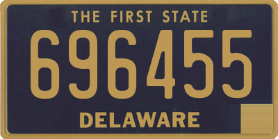 DE license plate 696455