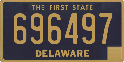 DE license plate 696497