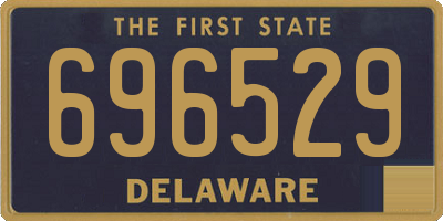 DE license plate 696529