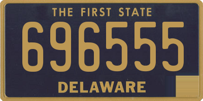 DE license plate 696555