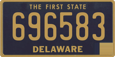 DE license plate 696583