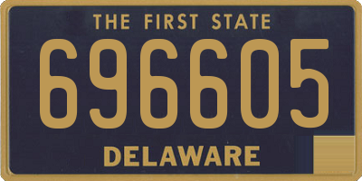 DE license plate 696605