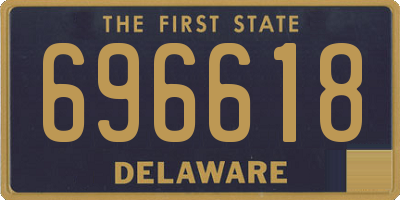 DE license plate 696618