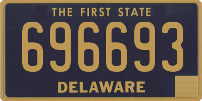 DE license plate 696693