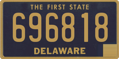DE license plate 696818