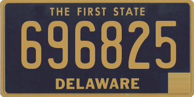 DE license plate 696825